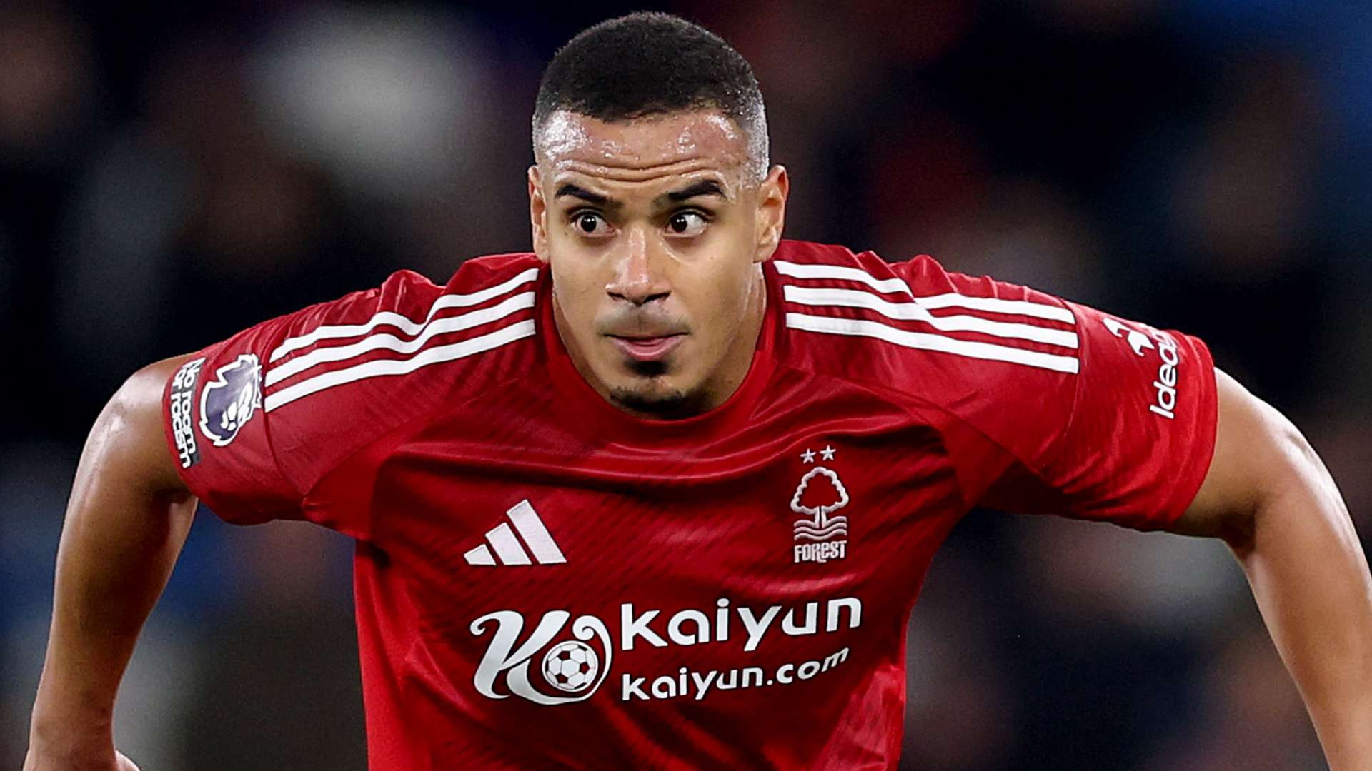 其他国家效 其他国家效