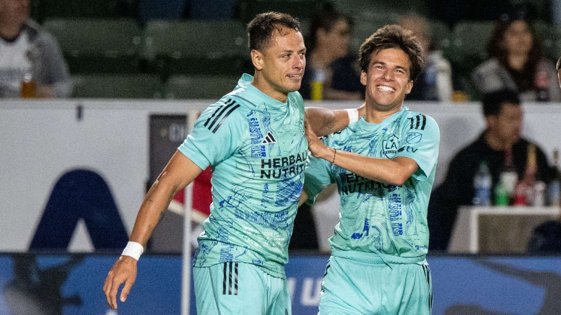 的拼搏精神 的拼搏精神